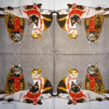 KAT-951 Cats - 3-ply - ppd - Two Can Art